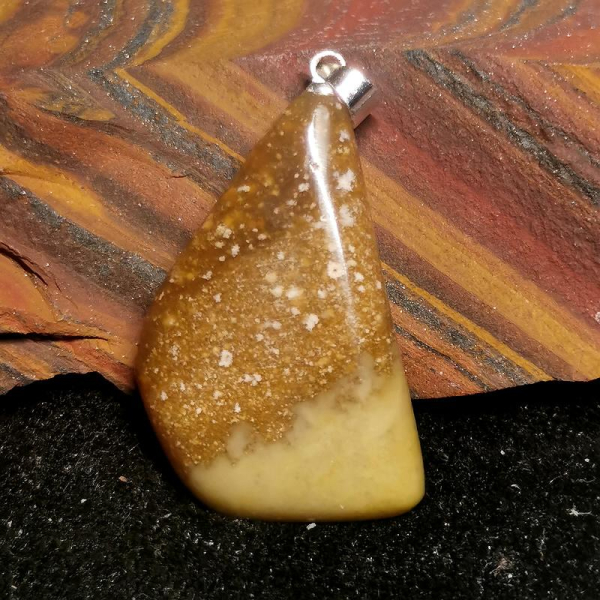 Opalized Petwood Anhänger
